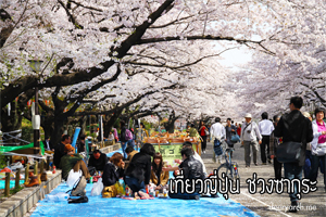 เที่ยวญี่ปุ่น