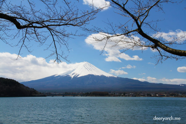 เที่ยวญี่ปุ่น ซากุระ (9) ชมภูเขาไฟฟูจิ ทะเลสาบคาวากุจิโกะ Kawagujiko Lake เจดีย์แดง Chureito Pagoda