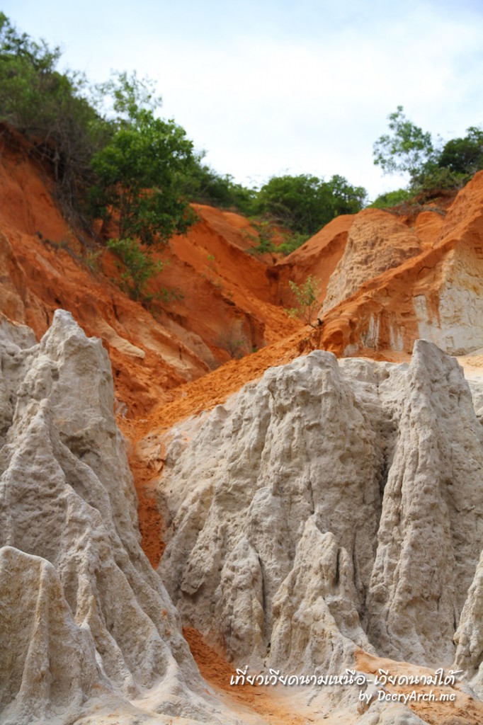 Fairy Stream Mui Ne