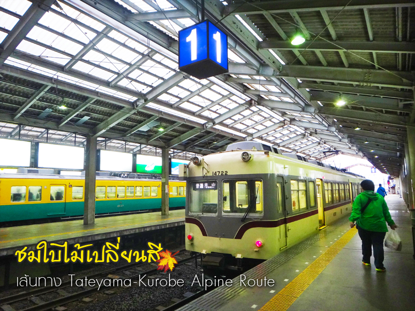 เที่ยวญี่ปุ่น ใบไม้เปลี่ยนสี (4) เส้นทาง Tateyama-Kurobe Alpine Route