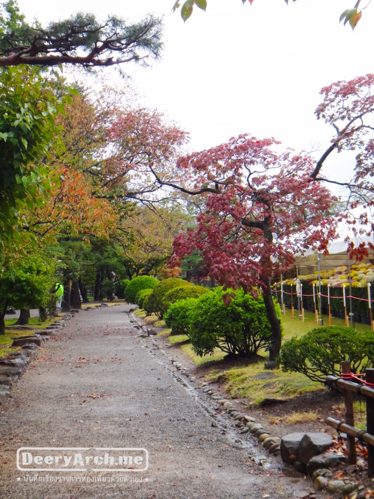 autumn mutsumoto