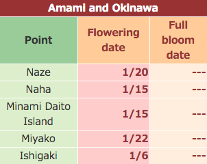 okinawa-23-sakura-forecast2015