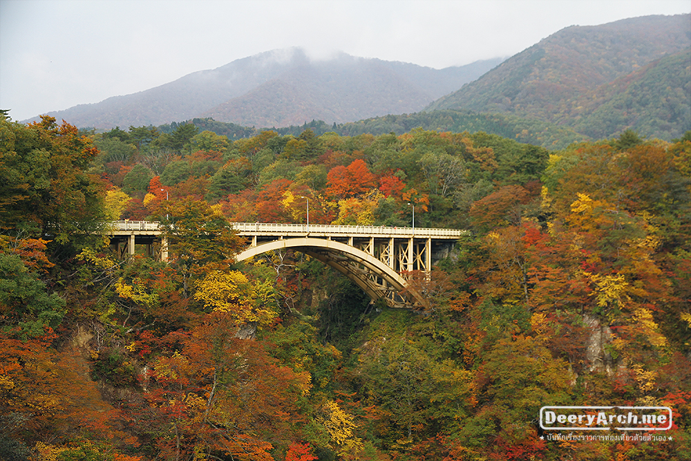 เที่ยวญี่ปุ่น ใบไม้เปลี่ยนสี (10) Naruko Gorge เที่ยว Sendai