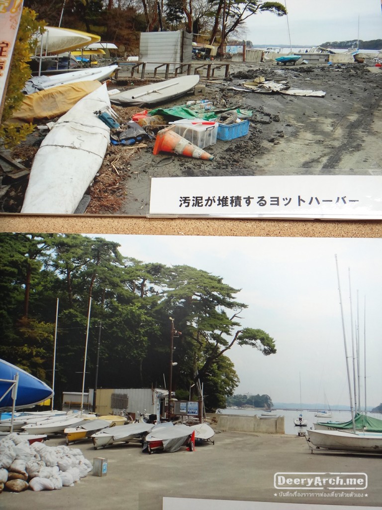 Matsushima Tsunami