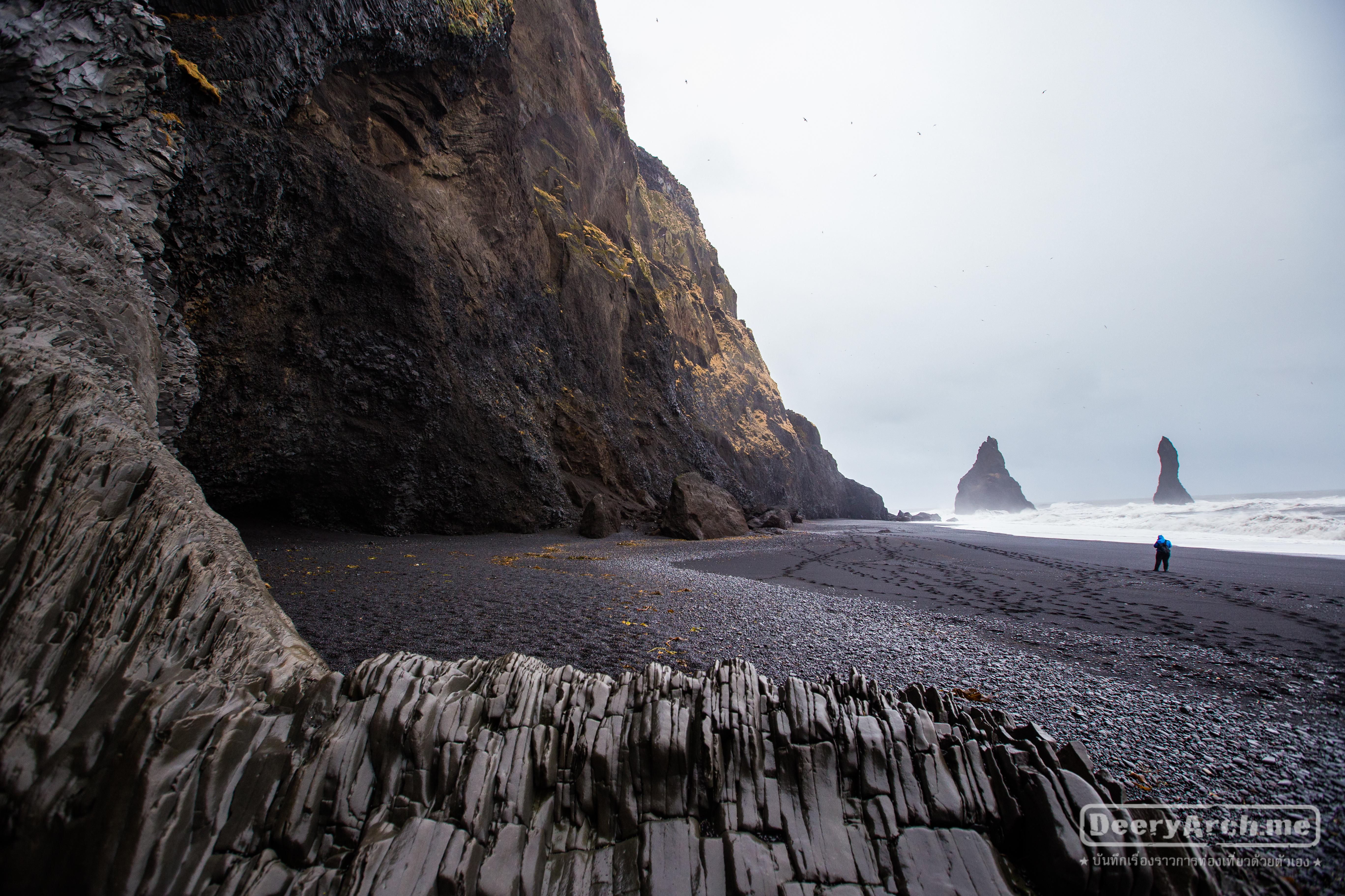 Journey to the Iceland Ep.5 Dyrholaey Peninsula, Reynisdrangar Sea Stacks